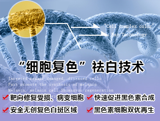 节段型白癜风介绍