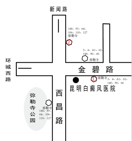 来院路线